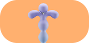 Anal