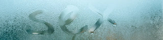 Shower sex sounds hot… but let’s be real