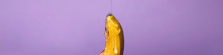 The complete lubricant guide
