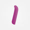 Cozy Pointer - Pink Rechargeable Mini Straight Bullet Vibrator